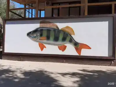 Fish Sense - 127