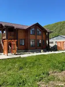 Кипарис - 17