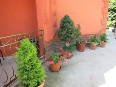 Добрый кит - 30