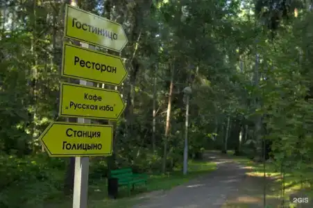 Голицыно - 65