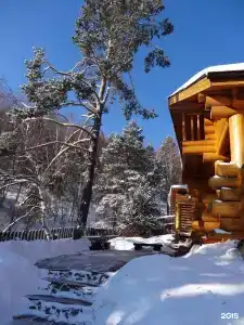 Альпийский - 28