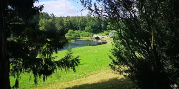 Люда - 11