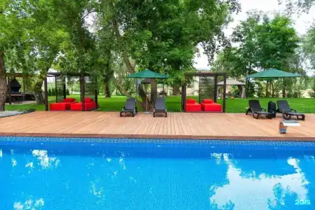 Андреефф - 40