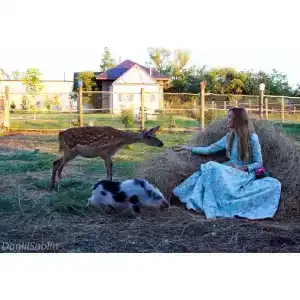 Усадьба купца Баева - 44