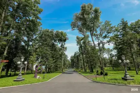 Амурский Залив - 27