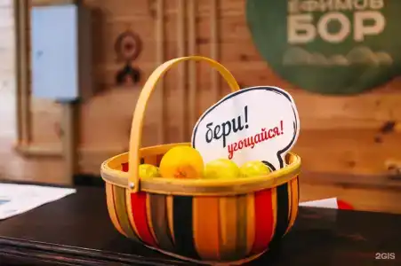 Ефимов бор - 68