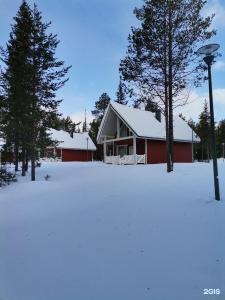 Лесная - 67