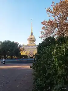 Соната у Дворцовой площади - 21