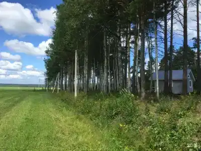Ежевика. Дома в аренду - 17