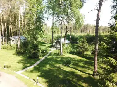 Ефимов бор - 31