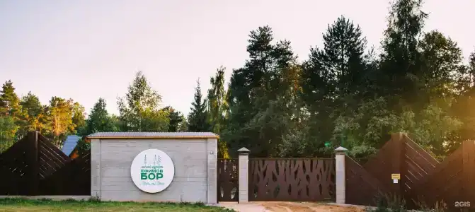 Ефимов бор - 61