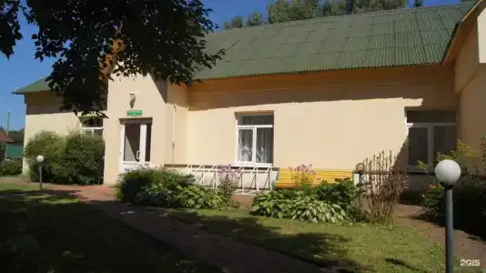 Спутник - 25