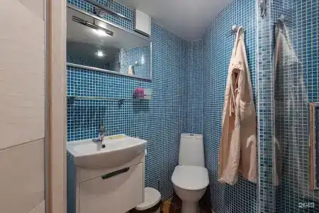 Гларус - 161
