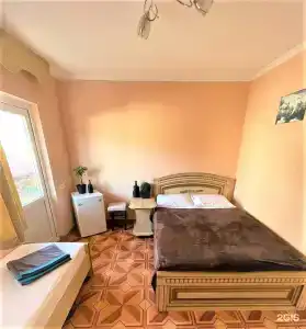 Киви и Цитрус - 42