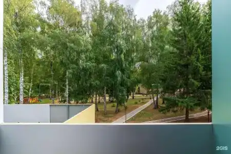Волга - 24