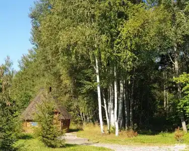 Путь Лотоса - 49