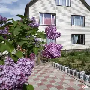 Камчатдар - 0