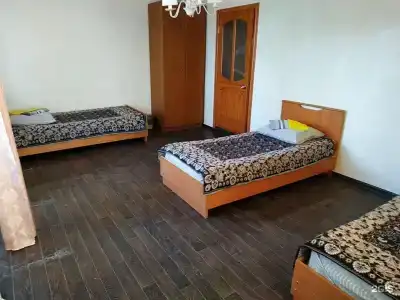 Птица - 2