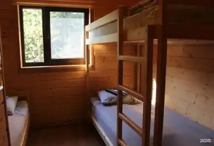 Хвойный - 3