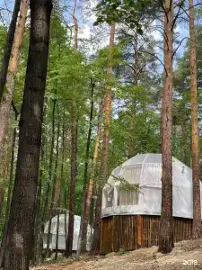 Светлячок - 3