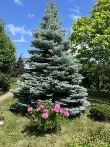 Усадьба Сар-Герел Алтая - 16