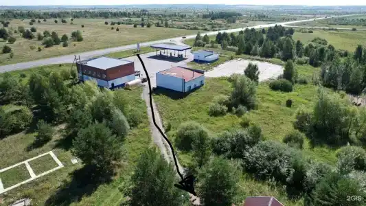 Стриж - 13