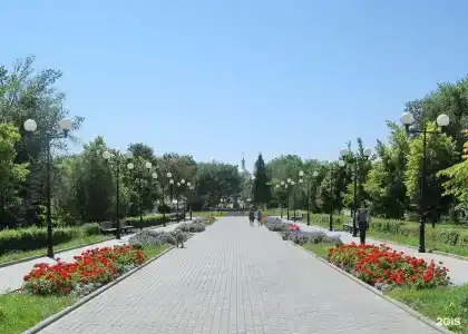 Дмитриевская - 3