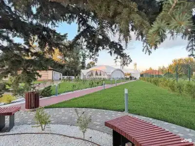 Афина - 22