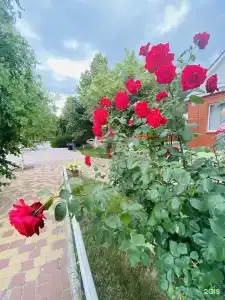 Эдем - 0