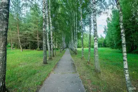 Зеленый Городок - 45