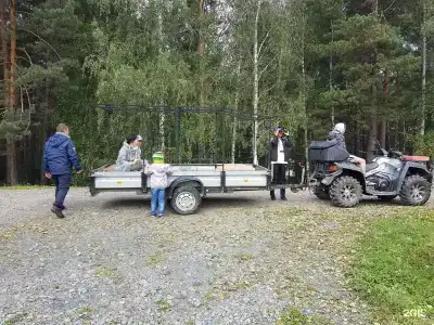Сосновый бор - 56