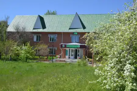 Сосновый бор - 49