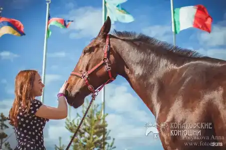 Загородный отель Konakoff в Сажино - 38