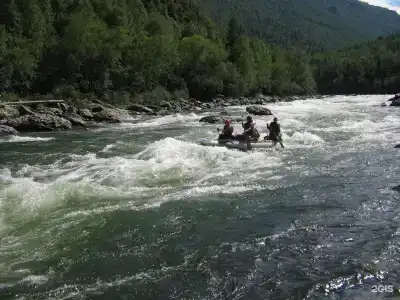 Сосновый бор - 18