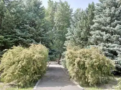 Ахтуба - 87
