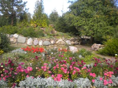 Центральный - 30