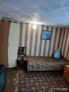 Сосновый бор - 12