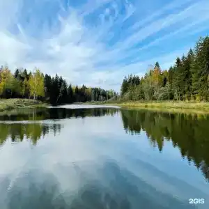 Хвойный Лес - 20