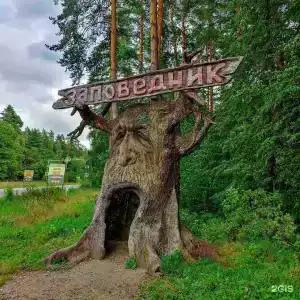 Лазурный берег на Оке - 77