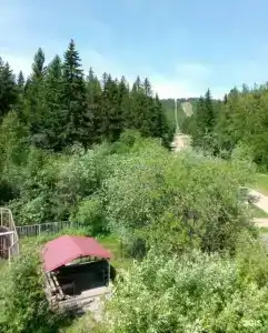 Путешественник - 41