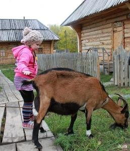 Русский Дом - 53