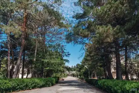 Спутник - 46