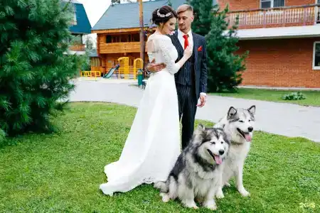Родники - 53