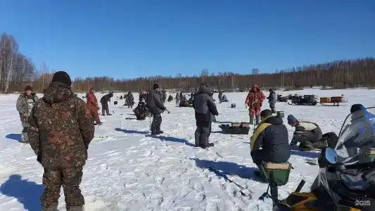 Ситинка - 86