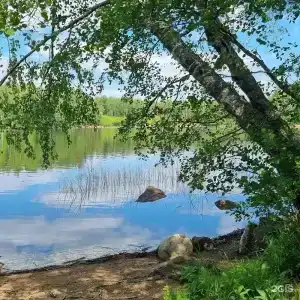 Тихая Гавань - 22