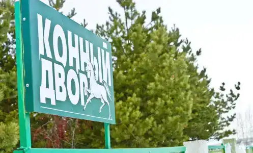 Сосновый бор - 52