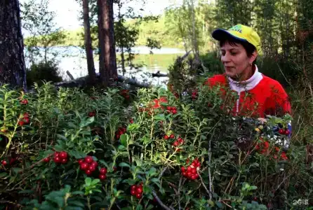 Ветреный Пояс - 38