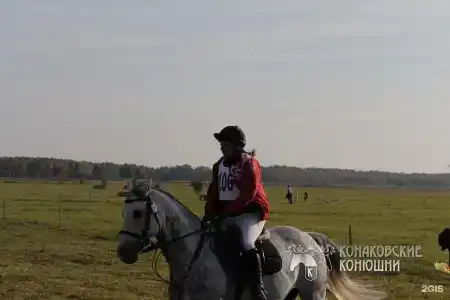 Загородный отель Konakoff в Сажино - 160
