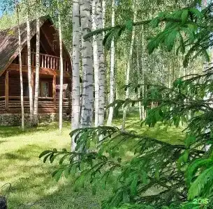Колкуново - 29