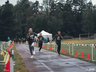 Зеленый Городок - 62